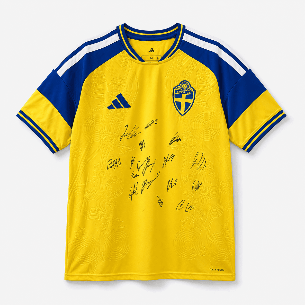 Sveriges landslag, VM 2026, Signerad