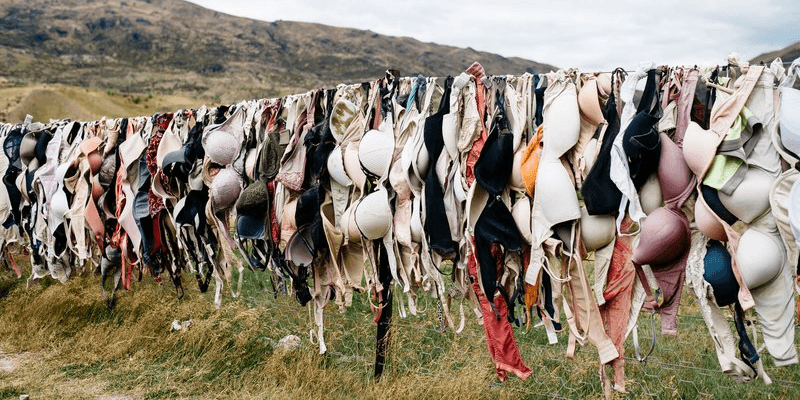 Bröstcancerförbundet